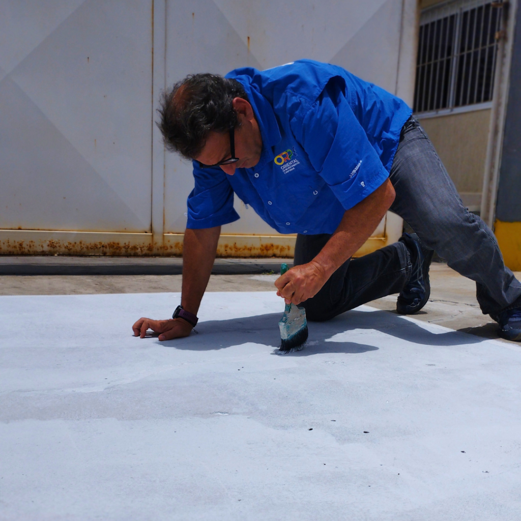 Presentación de nuevos productos de un cliente que tiene una fabrica de Pinturas y revestimientos llamada ORPVEGROUP